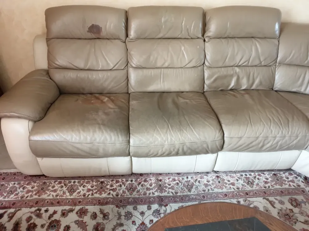 thumbnail_20210118_095930 (1)